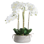 Faux Orchid in Stone Pot | 90cm