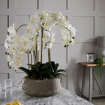 Faux Orchid in Stone Pot | 90cm