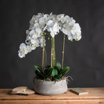 Faux Orchid in Stone Pot | 90cm