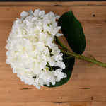 Faux Oversized Hydrangea Stem | White | 73cm