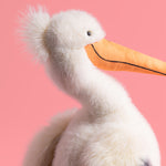 Keli Pelican