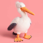 Keli Pelican