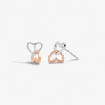 Forever Yours 'Fabulous Friend' Earrings | Silver & Rose Gold Plated