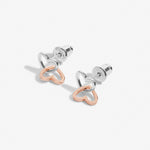 Forever Yours 'Fabulous Friend' Earrings | Silver & Rose Gold Plated