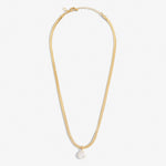 Solaria Coin Pearl Necklace | Gold Plated