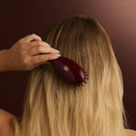 Hairbrush & Case Set | Cherry
