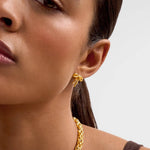 Novelle Bow Earrings | Gold Coated