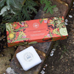 Begamot & Ginger Triple Soap Gift Box