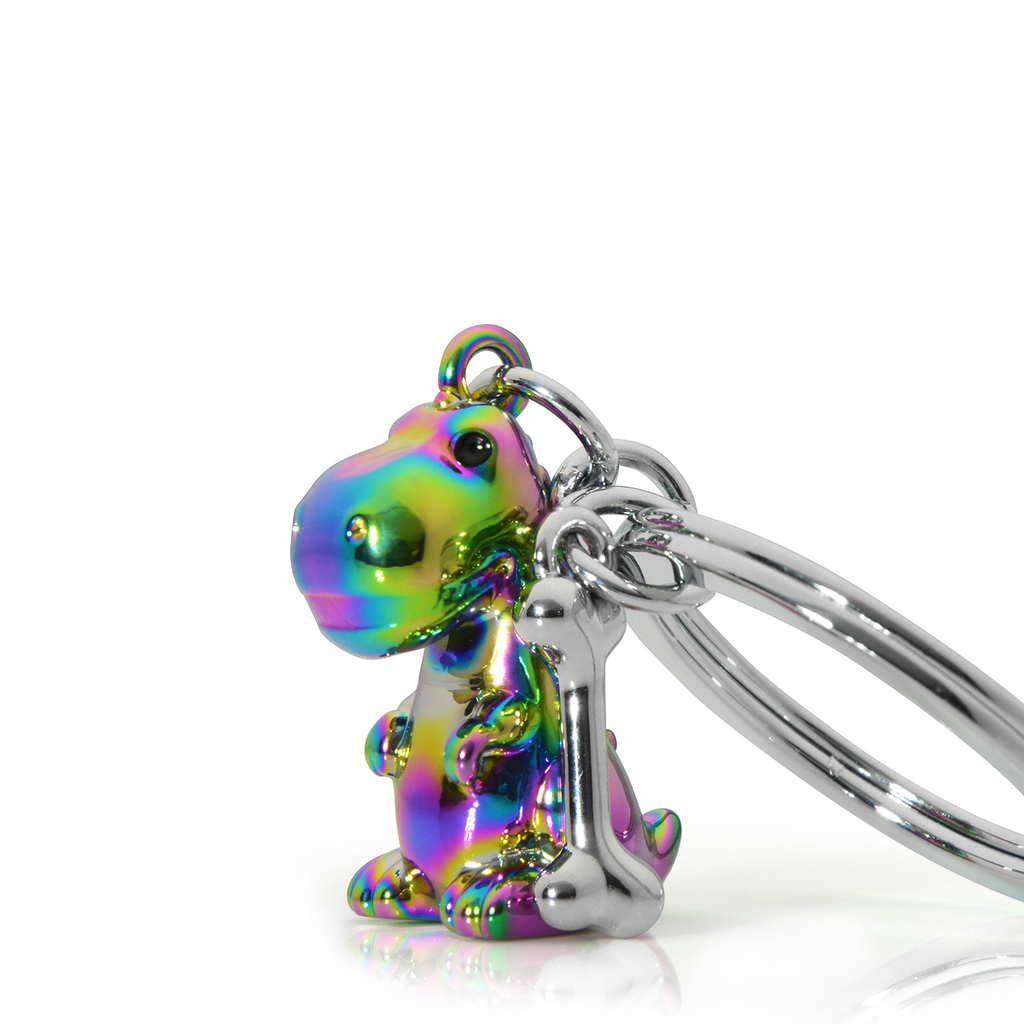 Buy Metalmorphose Oli Slick Dinosaur & Bone Keyring | About Living