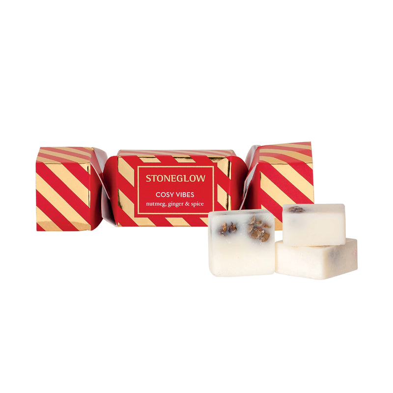 Cosy Vibes Botanical Soy Wax Melt Cracker | Nutmeg, Ginger & Spice | Set of 3