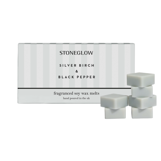 Modern Classics Soy Wax Melts | Silver Birch & Black Pepper | Set of 16