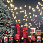 Festive Reed Diffuser | Nutmeg, Ginger & Spice | 100ml