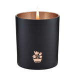 Willow Song Fine Fragrance Candle | 200g