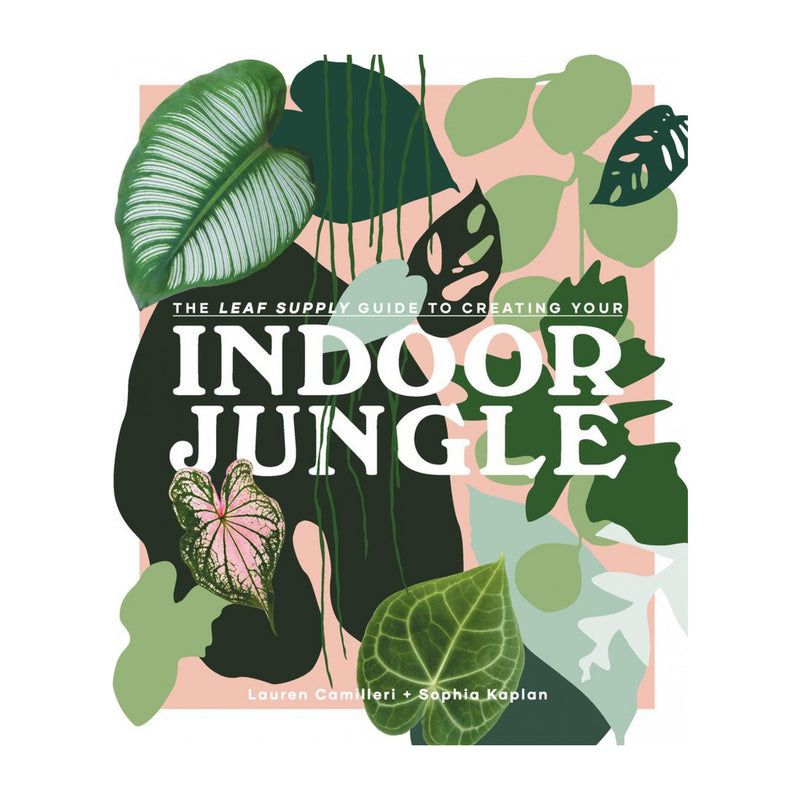 The Leaf Supply Guide to Creating Your Indoor Jungle | Lauren Camilleri, Sophia Kaplan