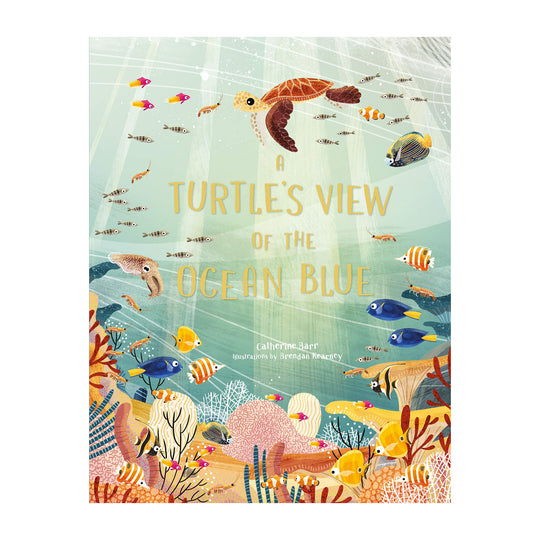 'A Turtle's View of the Ocean Blue' Book | Catherine Barr