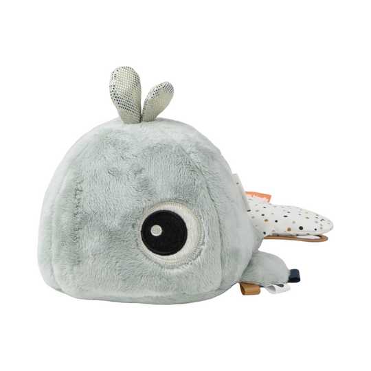 Hide & Seek Activity Toy | Wally | Blue