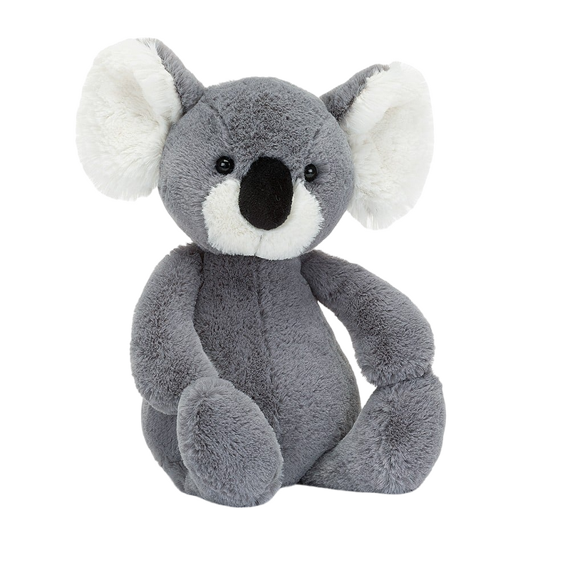 Bashful Koala | Medium