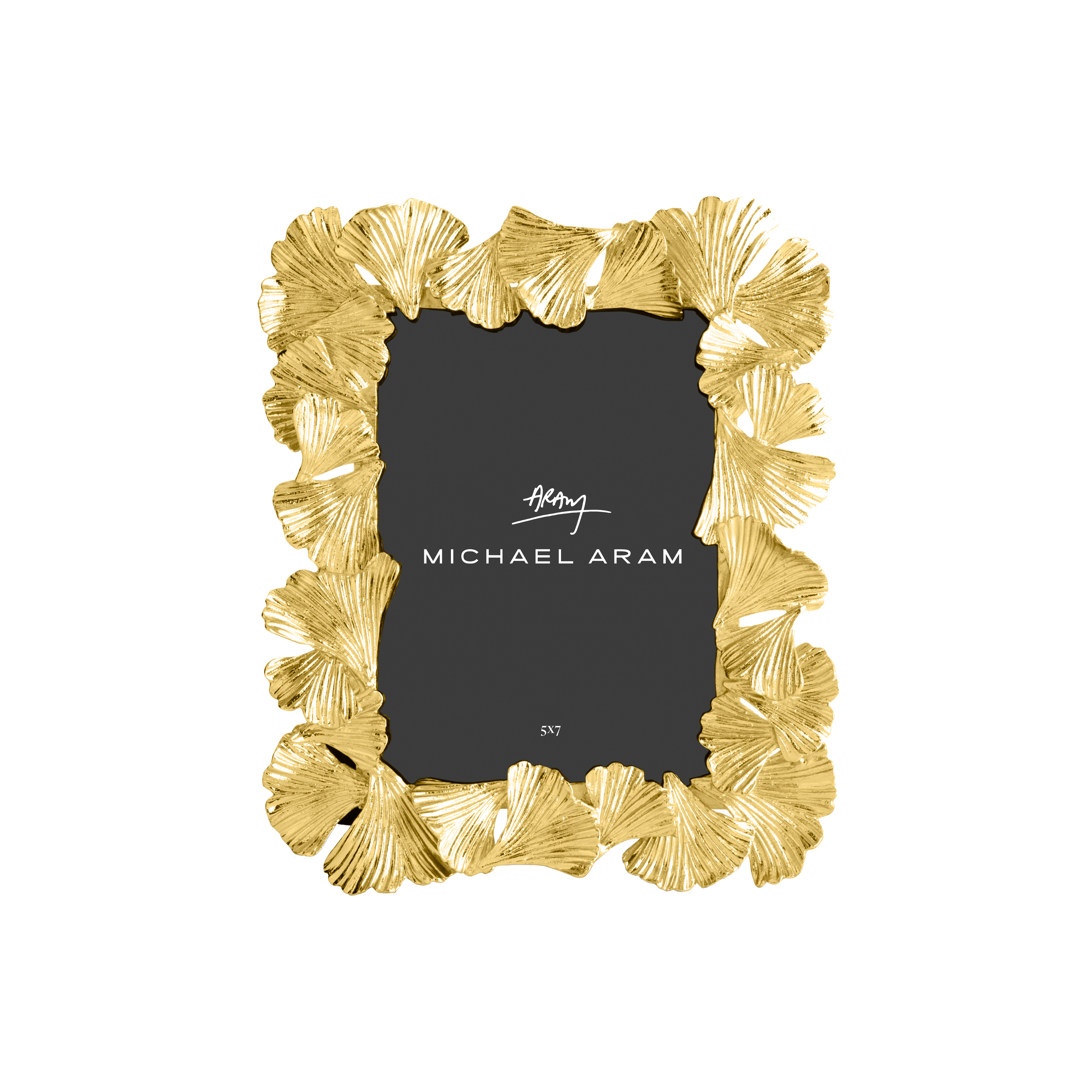 Michael aram online gold frame