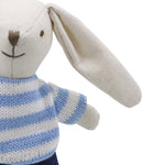 Blue Rabbit Boy Soft Toy