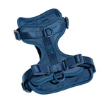 Cushioned Dog Harness | Blue