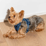 Cushioned Dog Harness | Blue