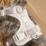 Cushioned Dog Harness | Grey