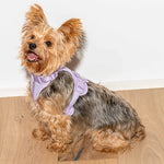 Cushioned Dog Harness | Lilac