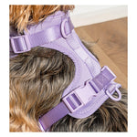 Cushioned Dog Harness | Lilac
