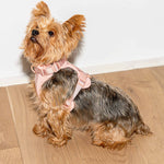 Cushioned Dog Harness | Pink