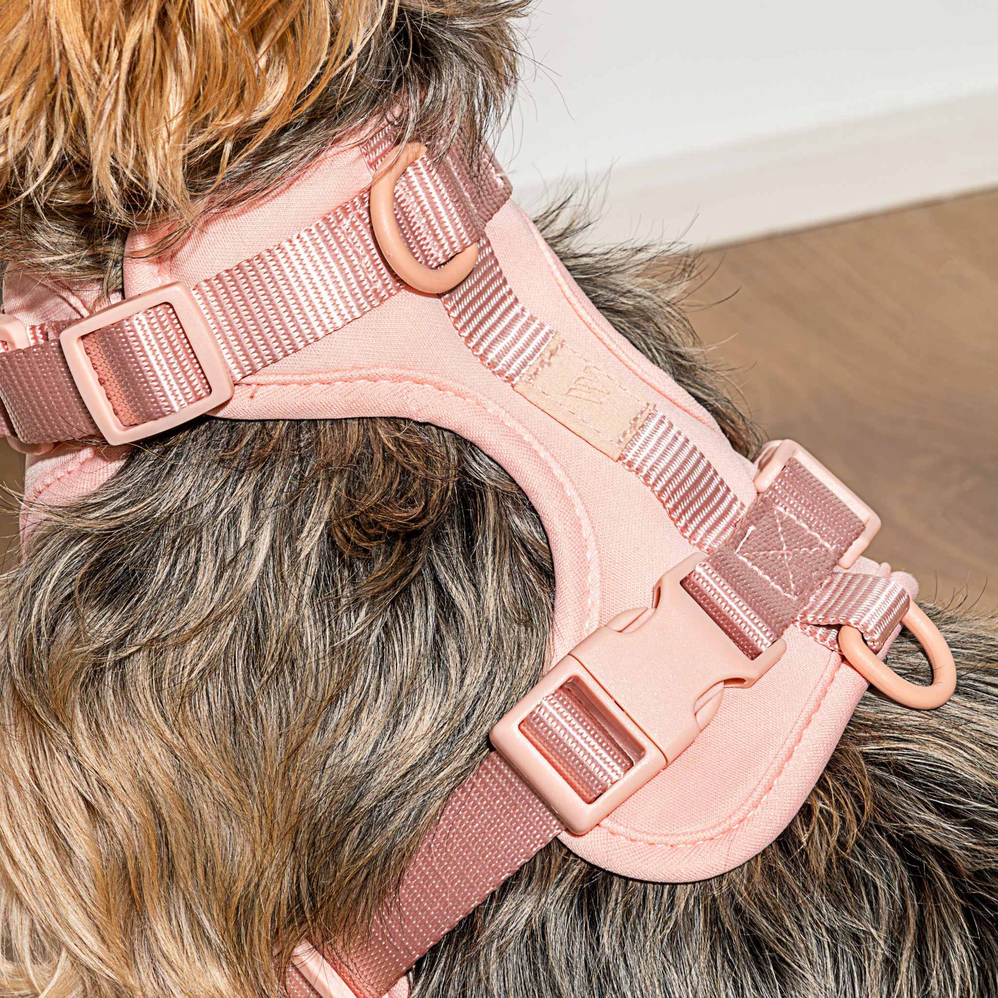 Buy Wild One Pink Cushioned Dog Harness About Living