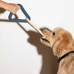 Triangle Tug Toy | Blue